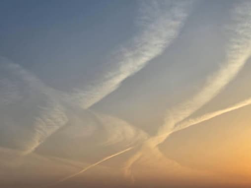 「命を思う1日でした」土屋太鳳、中山美穂を追悼。「太鳳ちゃんの思いが美穂ちゃんに届きますように」