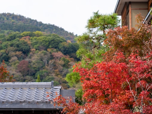 長期休みに行きたい京都府の「穴場温泉地」ランキング！ 2位「嵐山温泉」、1位は？