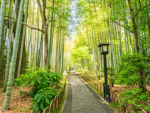 長期休みに行きたい静岡県の「穴場温泉地」ランキング！ 2位「修善寺温泉」、1位は？