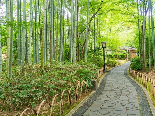 東京から日帰りで行きたい「静岡県の温泉地（伊豆・熱海・東伊豆）」ランキング！ 2位は修善寺温泉、1位は？