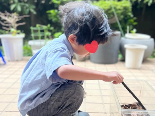 「大きくなりましたね」安田美沙子、“ジブリみたいな次男”を公開！ 「のびのび成長されていますね」