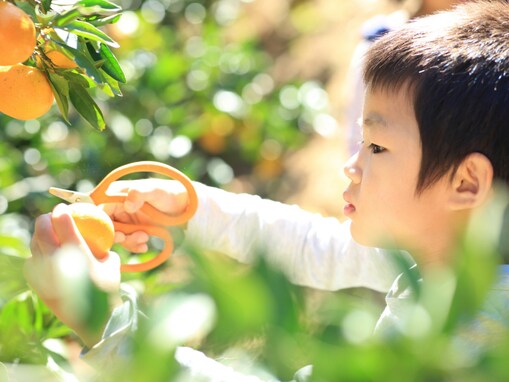 「子育てしやすい」と思う四国地方の都道府県ランキング！ 2位「愛媛県」、1位は？