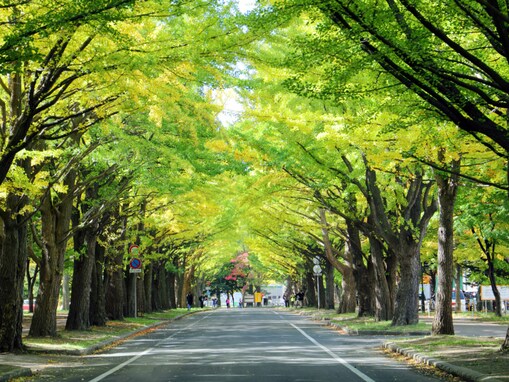 育ちが良さそうな印象がある北海道・東北の国立大学ランキング！ 1位「北海道大学」、2位は？