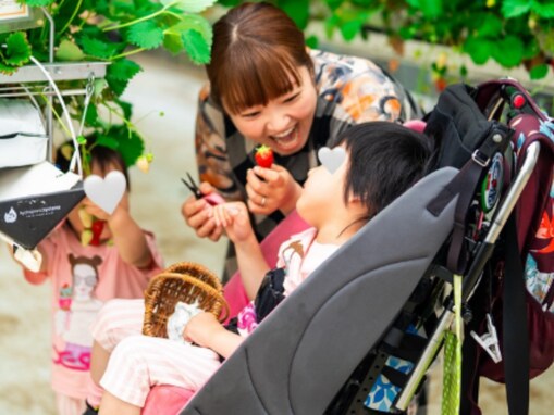 「笑顔がママそっくり」柳原可奈子、娘たちとのイチゴ狩りショット公開！ 「ご家族の愛が詰まってる」