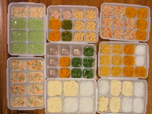 「4時間くらいかかった」西野未姫、0歳娘の“2週間分の離乳食”を大公開！ 「毎回手作り偉すぎます」