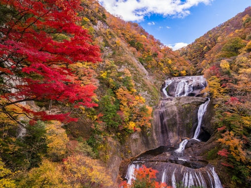 【関東】好き＆行ってみたい「茨城県の絶景スポット」ランキング！ 2位は「袋田の滝」、1位は？