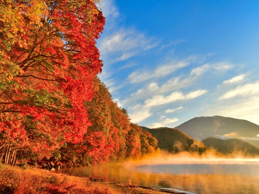【関東】好き＆行ってみたい「栃木県の絶景スポット」ランキング！ 2位は「中禅寺湖」、1位は？