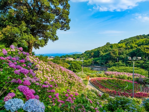愛知県の「あじさいの名所」ランキング！ 2位「形原温泉あじさいの里」を抑えた1位は？