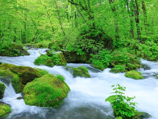 梅雨に行きたい「北海道・東北地方の絶景スポット」ランキング！ 2位は青森県「奥入瀬渓流」、1位は？
