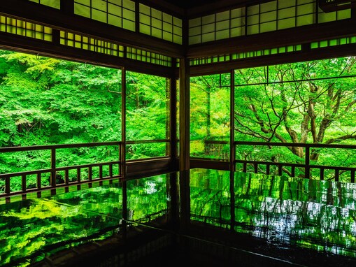 梅雨に行きたい「近畿地方の絶景スポット」ランキング！ 2位「瑠璃光院」を抑えた1位は？