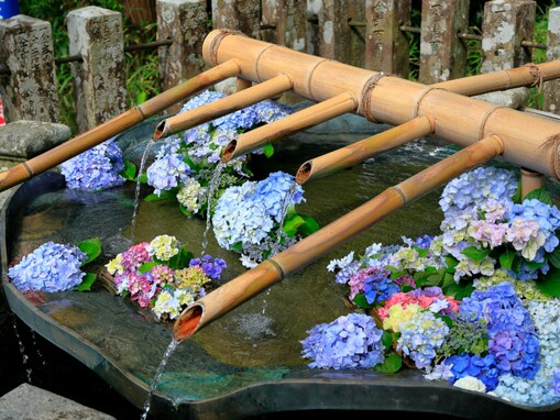 和歌山県の「あじさいの名所」ランキング！ 2位は「熊野那智大社」、1位は？