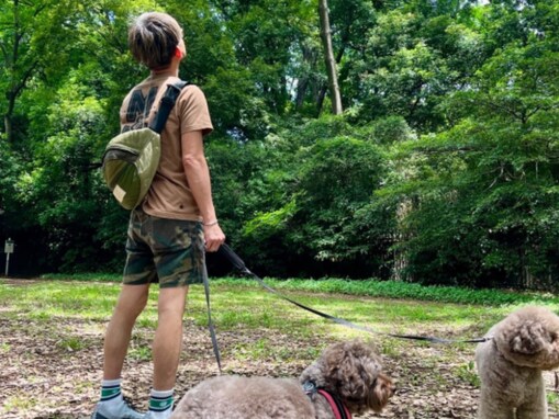 「しっかり7000歩」木村拓哉、愛犬2匹との散歩ショット公開！ 短パン×Tシャツのラフなプライベート写真