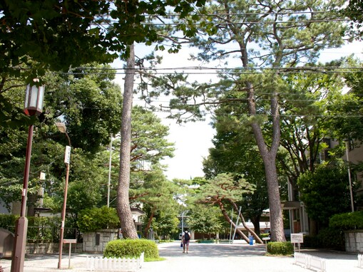 私立大学群「成成明学」の中で最もネームバリューが高いと思う大学ランキング！ 2位「成城大学」、1位は？