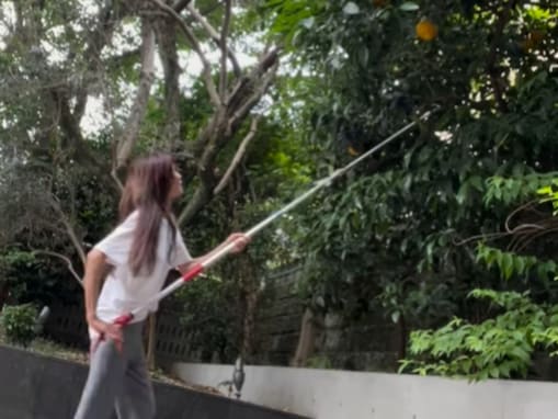 工藤静香、「全て手作り」のスイーツに驚きの声！ 「収穫するのは旦那さんの仕事だと思いきゃ」