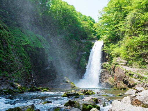 初夏に行きたい「宮城県の新緑が美しいスポット」ランキング！ 2位は「秋保大滝」、1位は？
