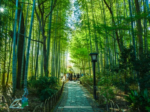 京都府で「外国人観光客にすすめたい温泉地」ランキング！ 2位「嵐山温泉」、1位は？