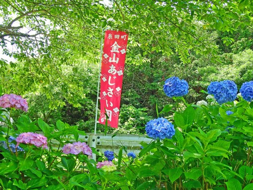 好きな「九州・沖縄のあじさいの名所」ランキング！ 2位は福岡県の「金山アジサイ園」、1位は？