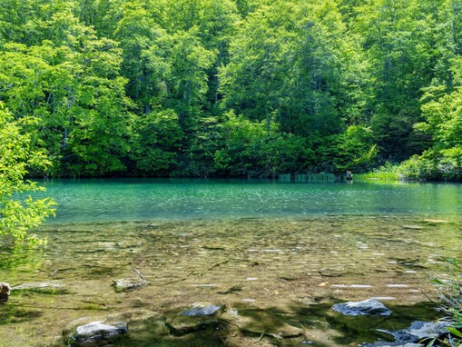 絶景だと思う「日本の高原」ランキング！ 2位は山形県の「山形蔵王中央高原」、1位は？