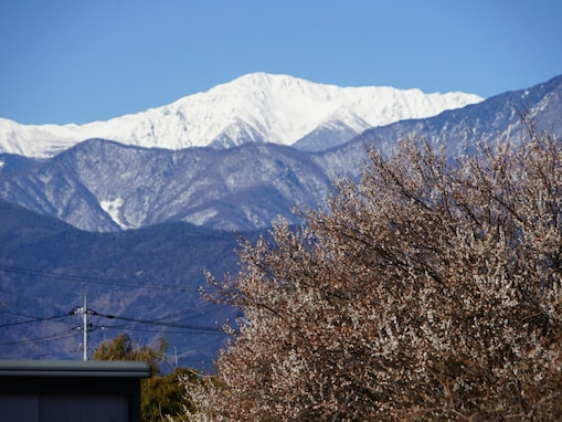 山梨県民が選ぶ「住みたい街（自治体）」ランキング！ 「中巨摩郡昭和町」と並んだ同率1位は？