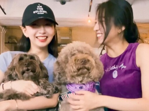 Koki,＆Cocomi、美人姉妹が愛犬2匹とのデートショット公開！ へそ出しの美ウエスト際立つ圧巻スタイルも