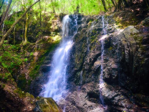 好き＆行ってみたい「山口県のパワースポット」ランキング！ 2位「夕日の滝」を抑えた1位は？