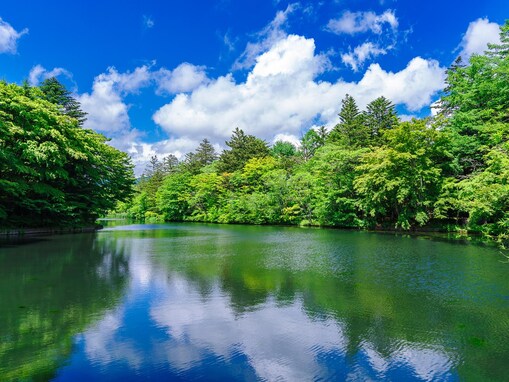 「新緑が美しいと思う都道府県」ランキング！ 2位「長野県」、1位は？