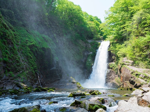 好き＆行ってみたい「宮城県のパワースポット」ランキング！ 同率2位「秋保大滝」「猫神社」、1位は？