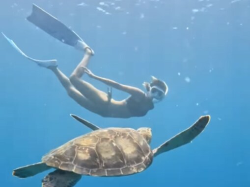 「どの方向から見てもスタイル抜群」みちょぱ、石垣島の海でシュノーケリング！ 「人魚かと思った」