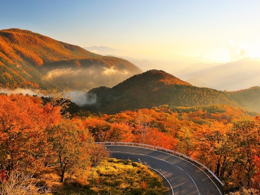 【2025年調査】「紅葉が美しいと思う都道府県」ランキング！ 2位「栃木県」、1位は？