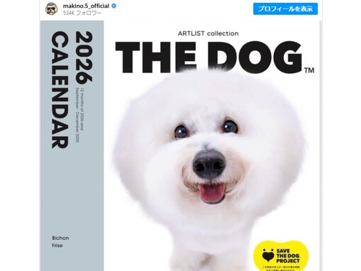 「さすが美男美女家族」槙野智章、愛犬の“嬉しいご報告”！ 「ご家族全員芸能人」「ぱんちゃんlove」