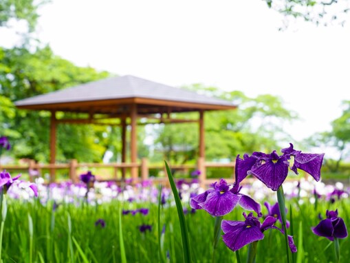 福島県民が選ぶ「街の住みここち（自治体）」ランキング！ 2位「岩瀬郡鏡石町」、1位は？