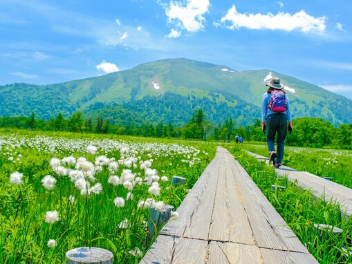「夏に行きたい群馬県の避暑観光地」ランキング！2位「尾瀬ヶ原」、圧倒的1位は？【2025年調査】