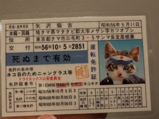 「国民をなめんなよ！」つるの剛士、懐かし過ぎるアイテムで「投票に行こう」ポストに反響！