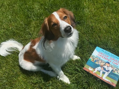 大谷翔平のデコピンが絵本に！ 来年発売、動物保護団体を支援「素晴らしい取り組み」「貴重なオフですね」