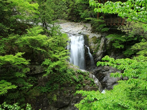 「夏に行きたい奈良県の避暑観光地」ランキング！ 2位「みたらい渓谷」を抑えた1位は？【2025年調査】