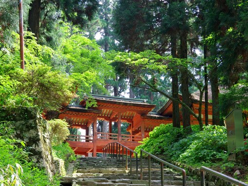 「夏に行きたい滋賀県の避暑観光地」ランキング！ 「比叡山延暦寺」などを抑えた1位は？【2025年調査】