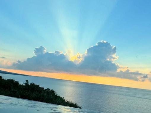 浅田真央、愛犬の一周忌に思いつづる「雲になったエアロが、会いに来てくれる」「すてきな再会」