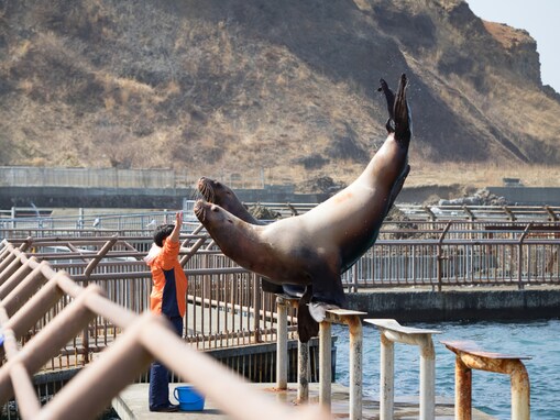 好き＆行ってみたい「北海道の水族館」ランキング！ 2位「おたる水族館」、1位は？【2025年調査】