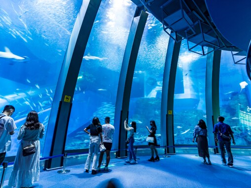 好き＆行ってみたい「関東の水族館」ランキング！ 2位「八景島シーパラダイス」、1位は？【2025調査】