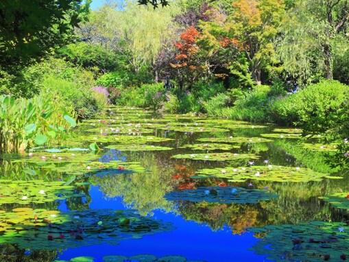 夏に行きたい「高知県の避暑観光地」ランキング！ 「北川村『モネの庭』マルモッタン」を抑えた1位は？【2025年調査】