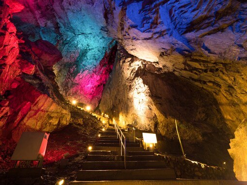 夏に行きたい「東京都の穴場秘境」ランキング！ 2位「日原鍾乳洞」、1位は？【2025年調査】