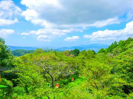 夏に行きたい「大阪府の絶景ドライブスポット」ランキング！ 2位「妙見山スカイライン」、1位は？【2025年調査】