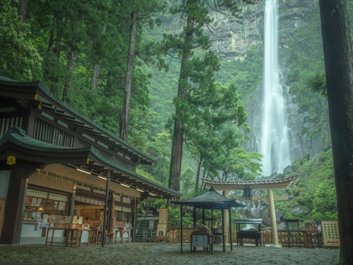 夏に行きたい「和歌山県の絶景ドライブスポット」ランキング！ 2位「那智の滝周辺ルート」、1位は？【2025年調査】