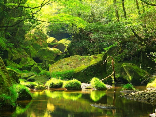 夏に行きたい「大分県の穴場秘境」ランキング！ 2位「深耶馬溪」、1位は？【2025年調査】