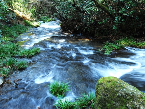 夏に行きたい「熊本県の穴場秘境」ランキング！ 2位「白川水源」、1位は？【2025年調査】