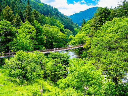 夏に行きたい「東京都の絶景ドライブスポット」ランキング！ 2位は「秋川渓谷沿いルート」、圧倒的1位は？