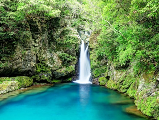「夏に行きたい高知県の穴場秘境」ランキング！ 2位「にこ淵」、1位は？【2025年調査】