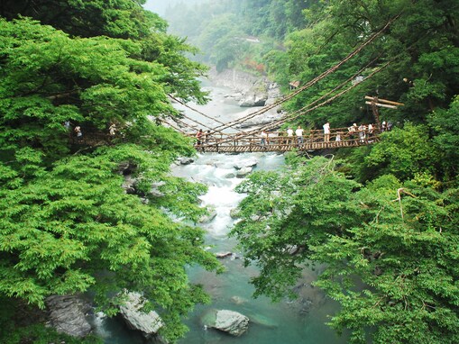 「夏に行きたい徳島県の穴場秘境」ランキング！ 2位「祖谷渓」、1位は？【2025年調査】