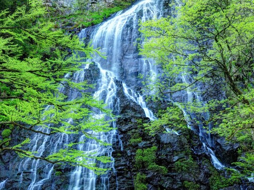 夏に行きたい「福井県の穴場秘境」ランキング！ 2位「龍双ヶ滝」を僅差で抑えた1位は？