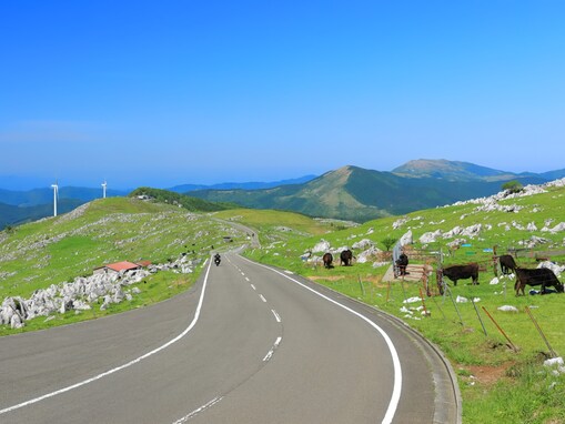 夏に行きたい「愛媛県の絶景ドライブスポット」ランキング！ 「四国カルスト公園縦断線」を抑えた1位は？